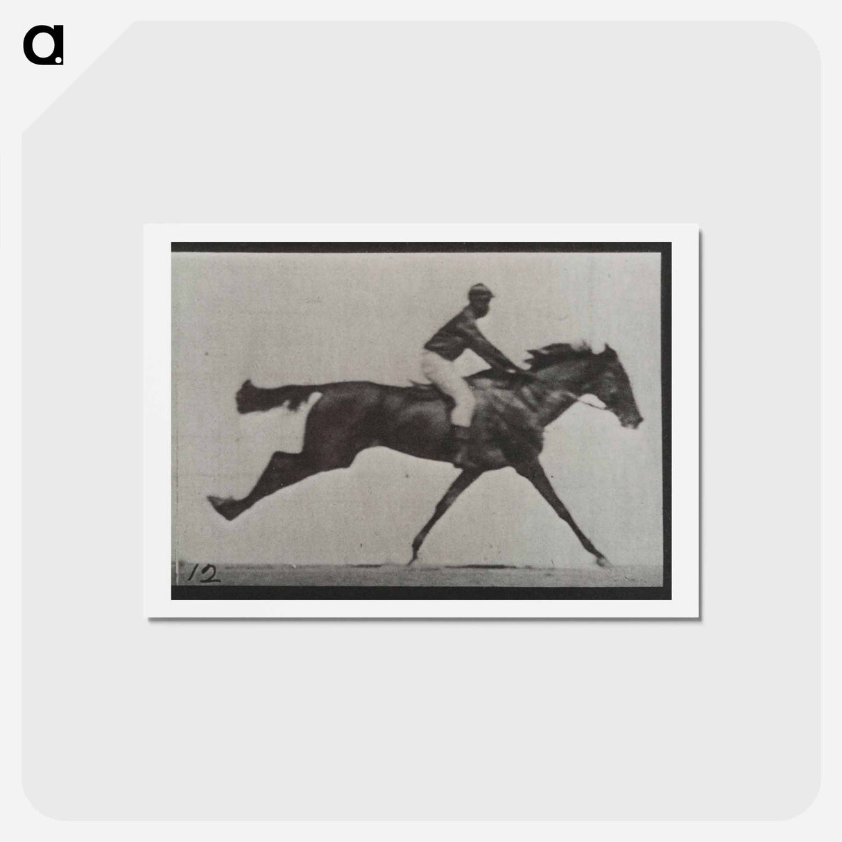アートポストカード-Galloping Horse and Rider
- エドワード マイブリッジ Postcard.