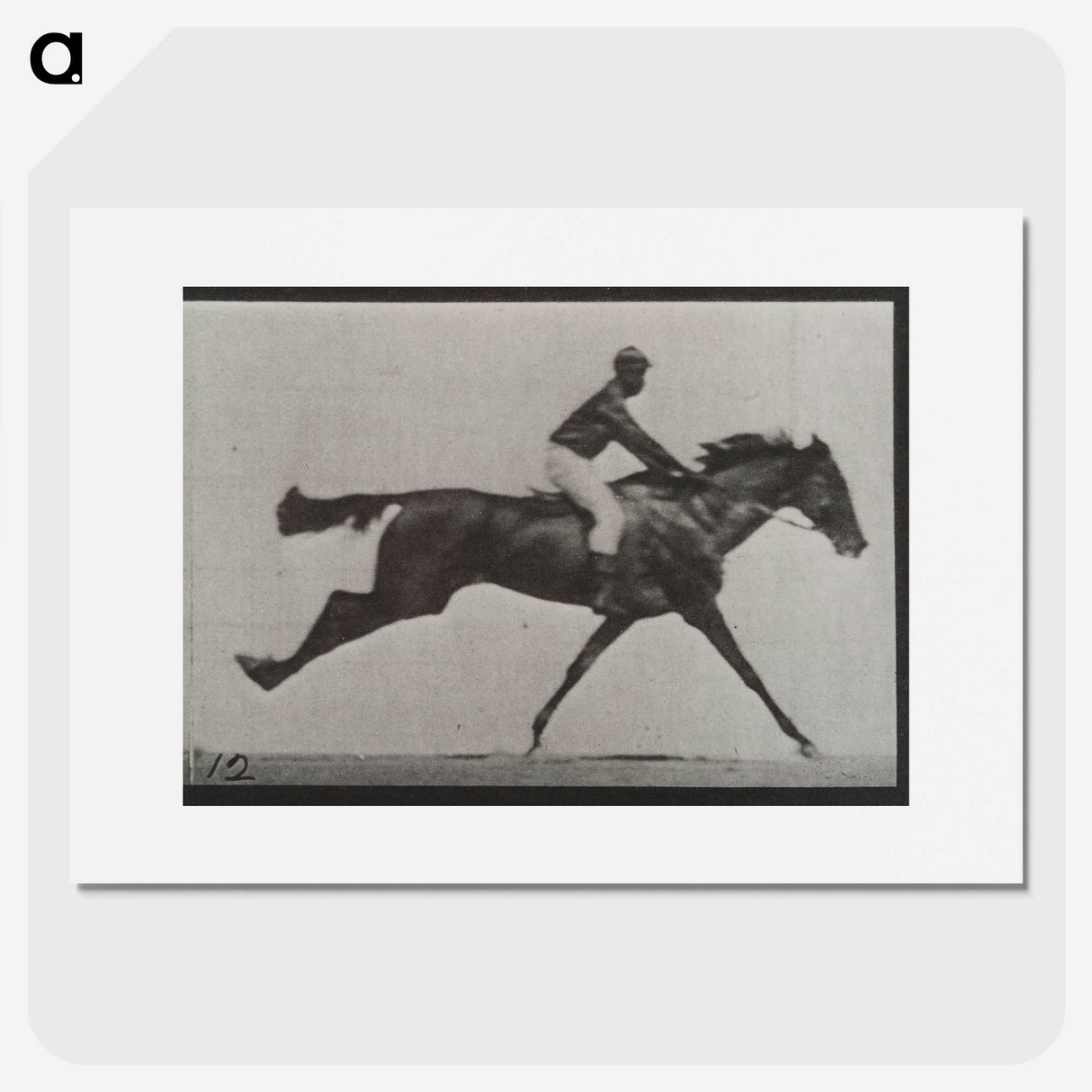 2-70_Eadweard-Muybridge_picture