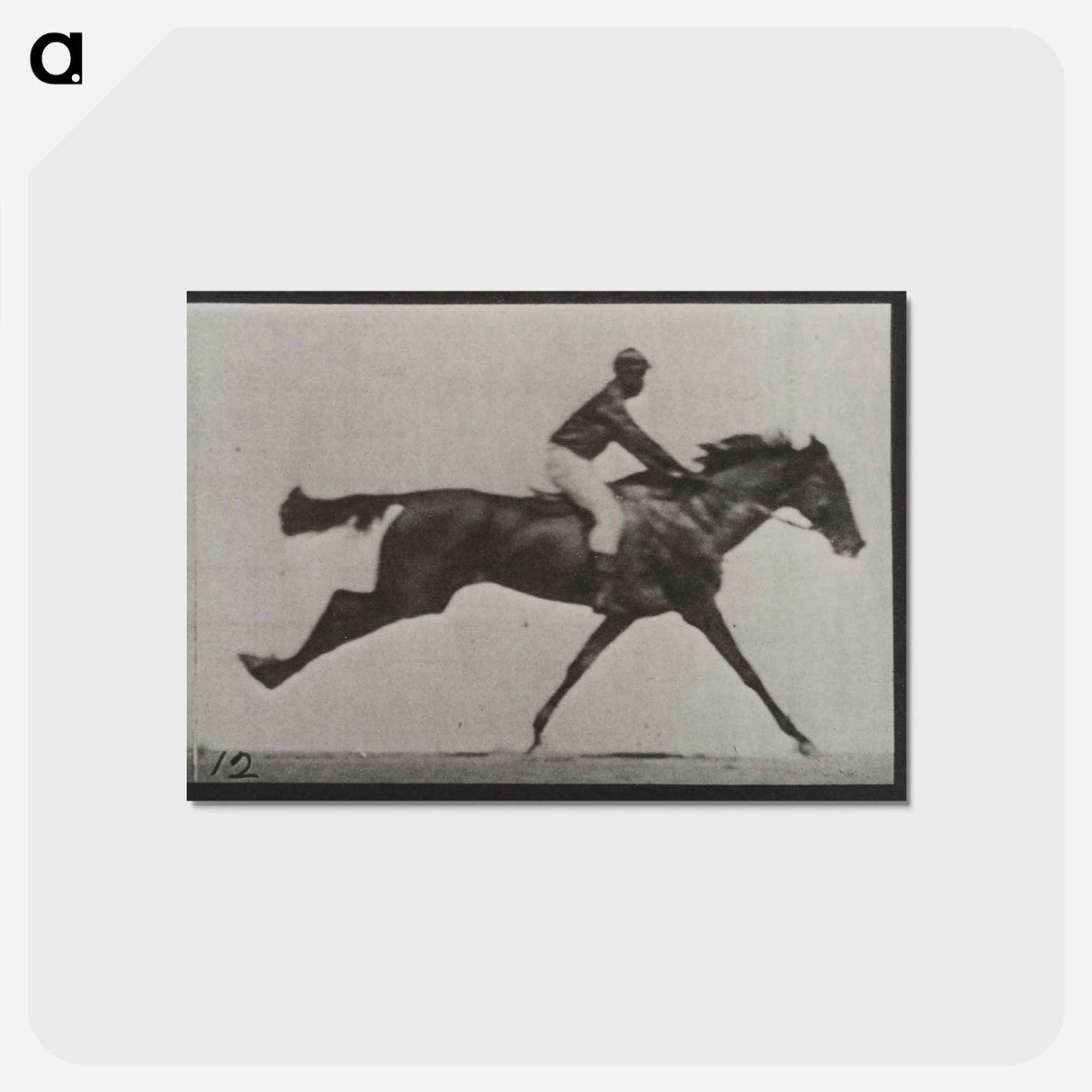 アートポストカード-Galloping Horse and Rider
- エドワード マイブリッジ Postcard.