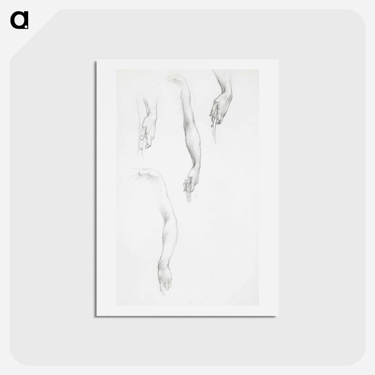 アートポストカード-Studies of Arms and Hands - エドワード バーン ジョーンズ Postcard.