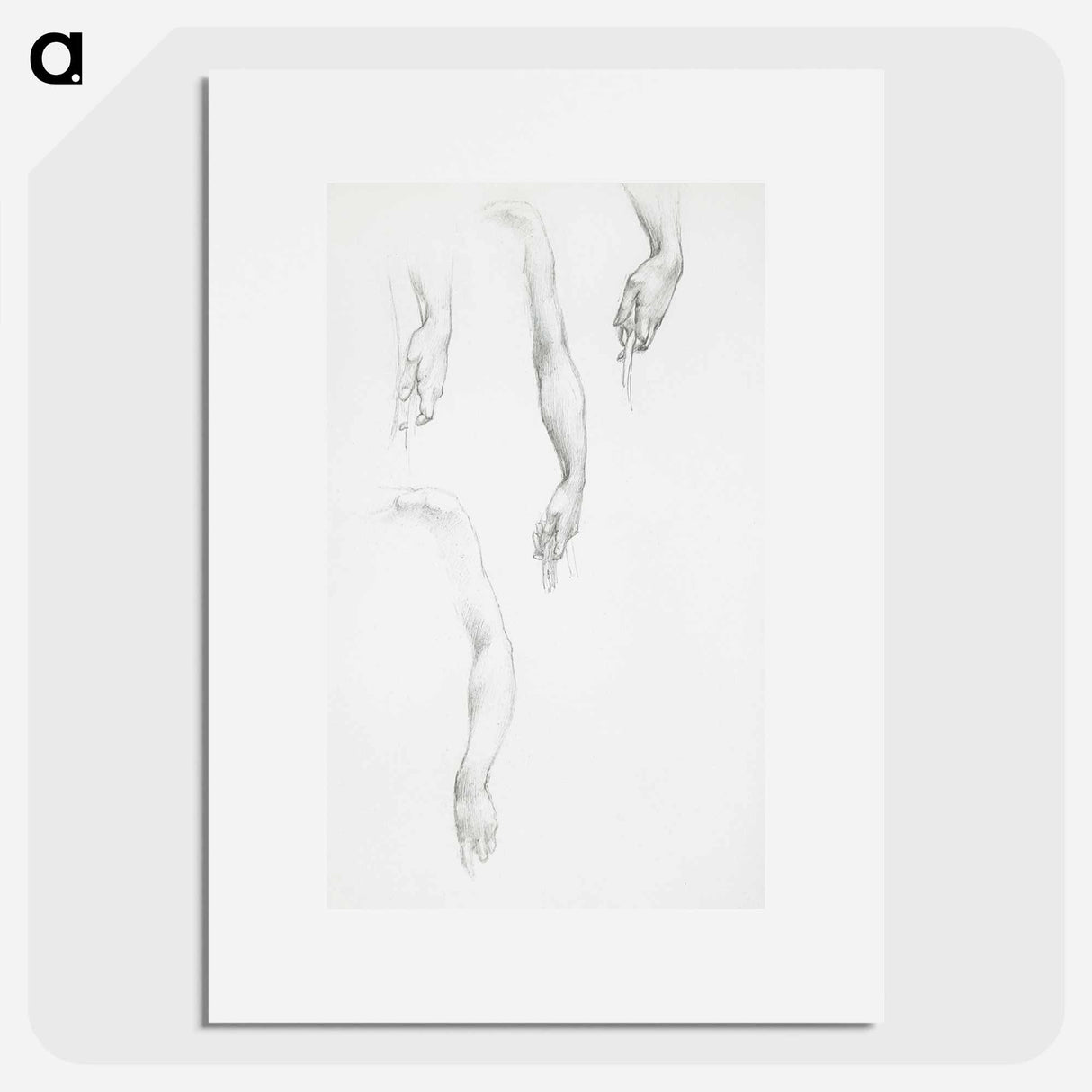 Studies of Arms and Hands - エドワード バーン ジョーンズ Poster.