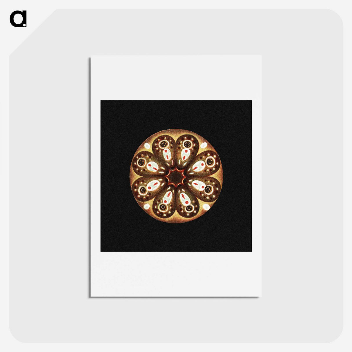 2-70_Ernst-Haeckel_hagaki