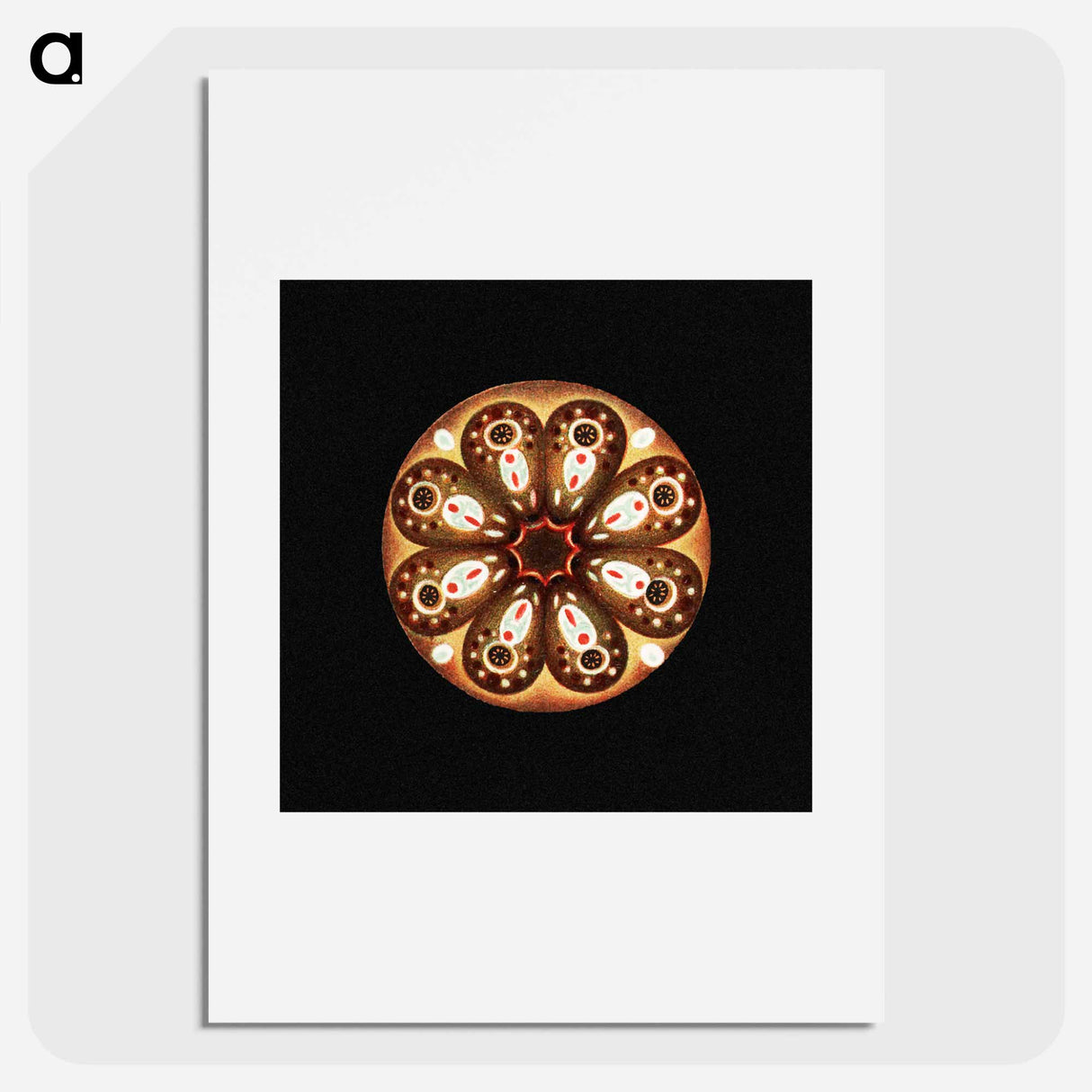 Colorful vintage tunicate marine life illustration - エルンスト ヘッケル Poster.