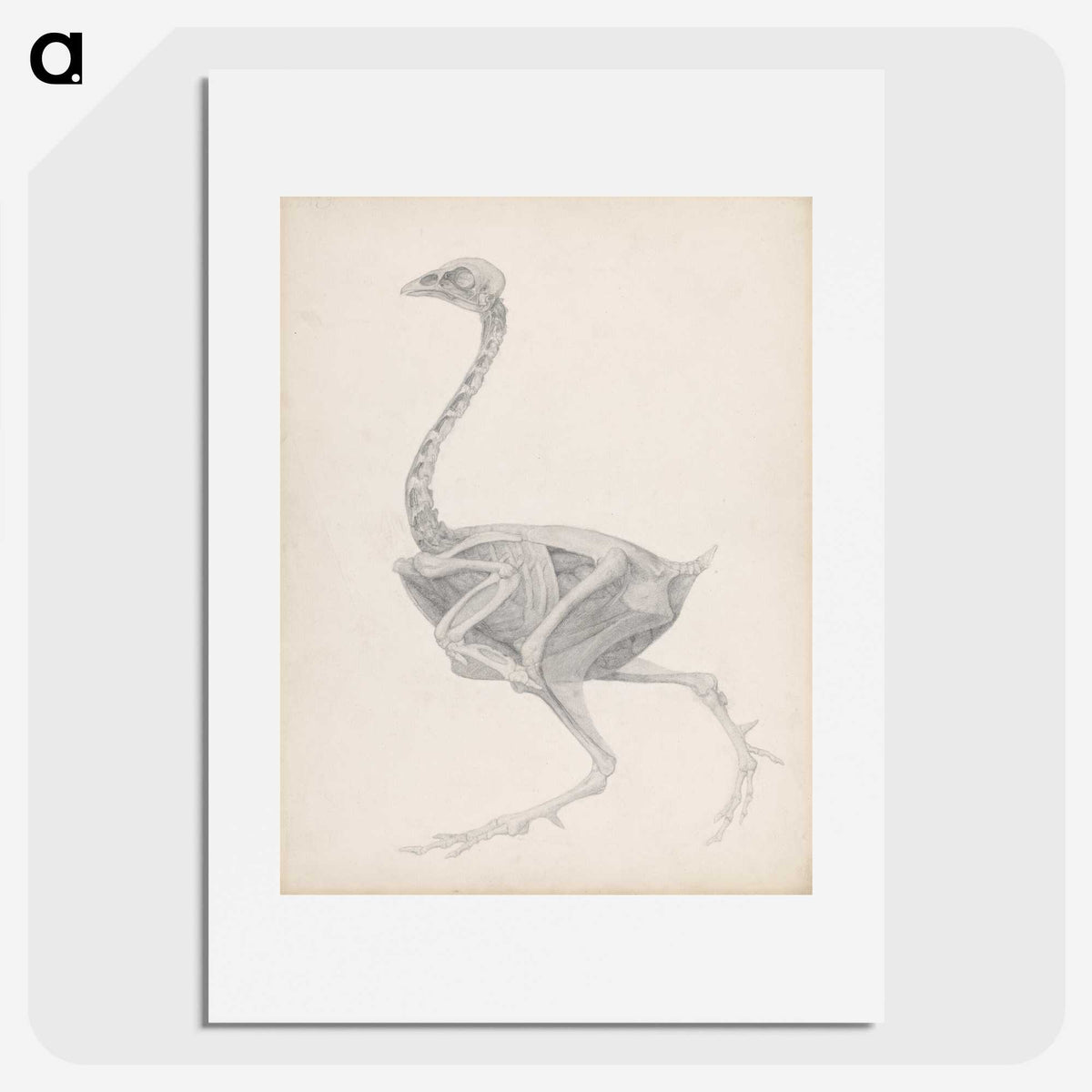 2-70_George-Stubbs_picture
