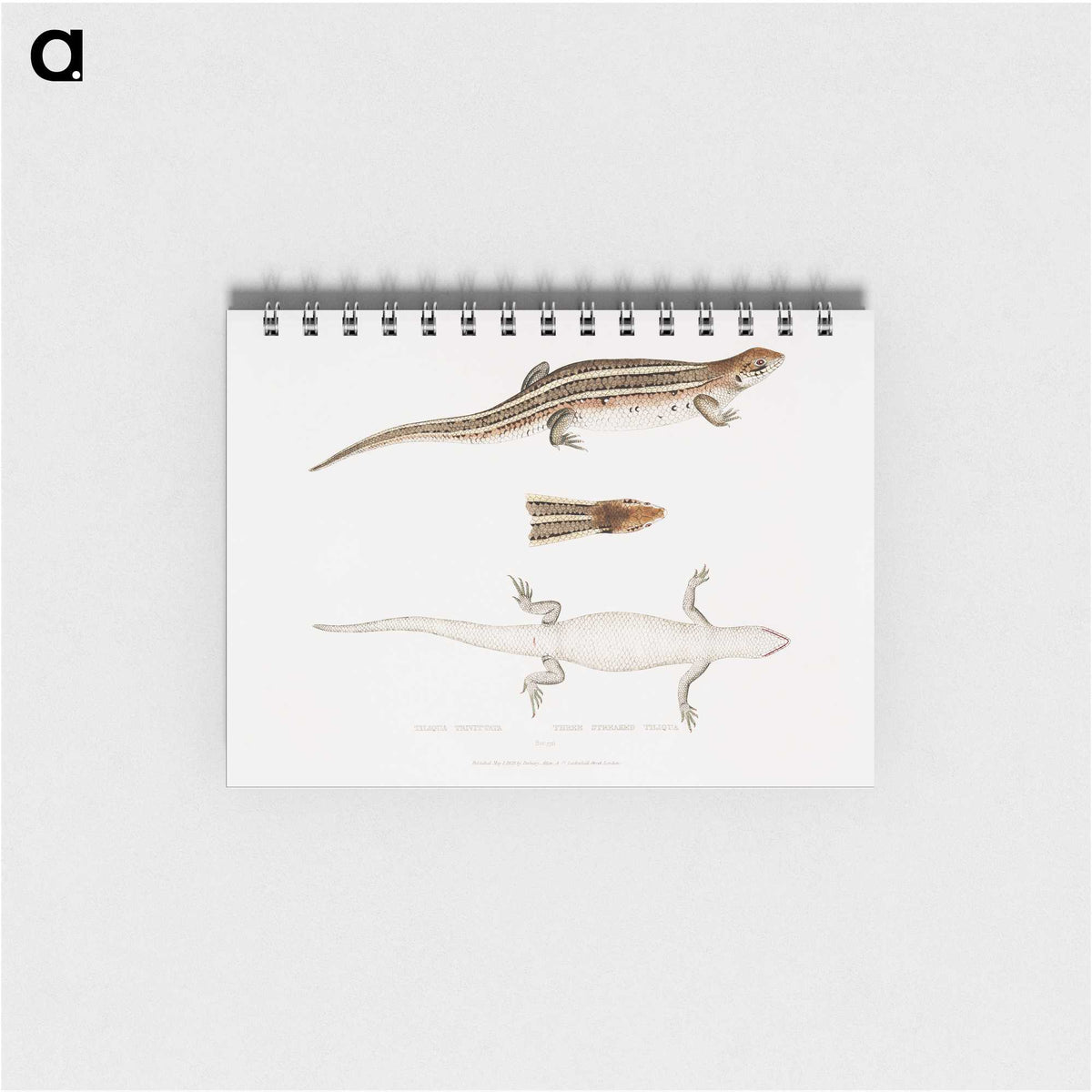 2-70_Indian-Zoology_memo