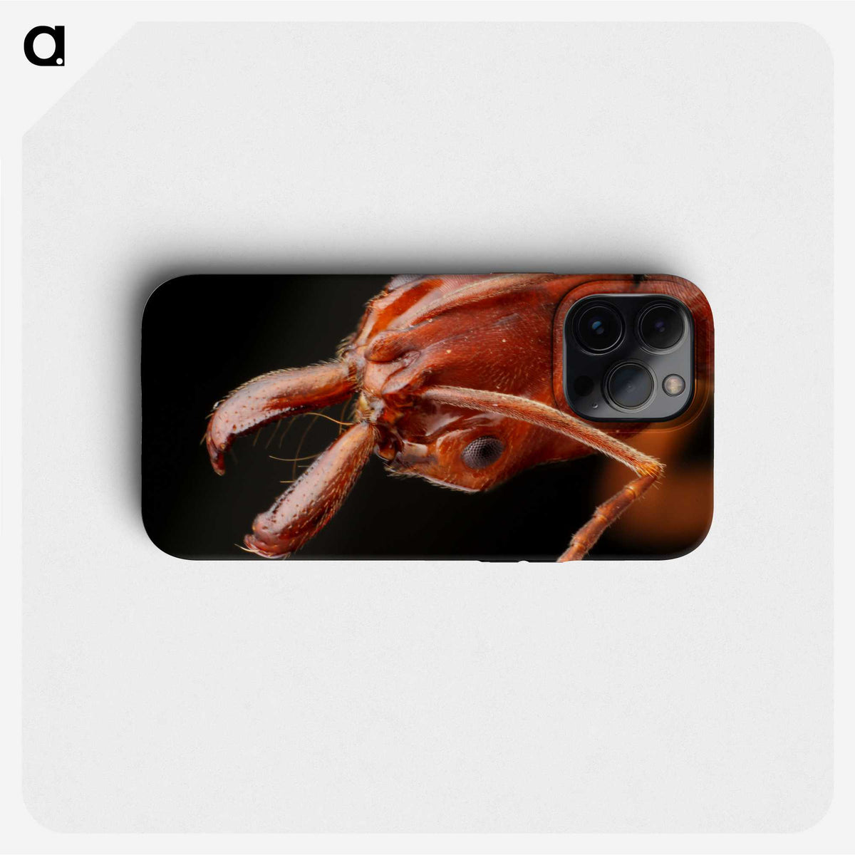 2-70_Insects-Unlocked-Project_phone