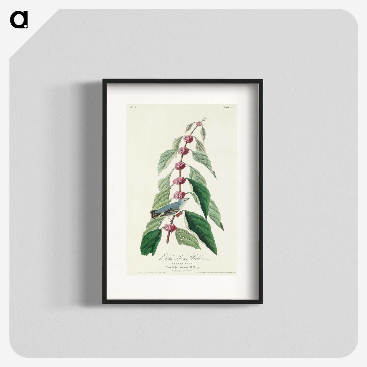 2-70_John-James-Audubon_blk