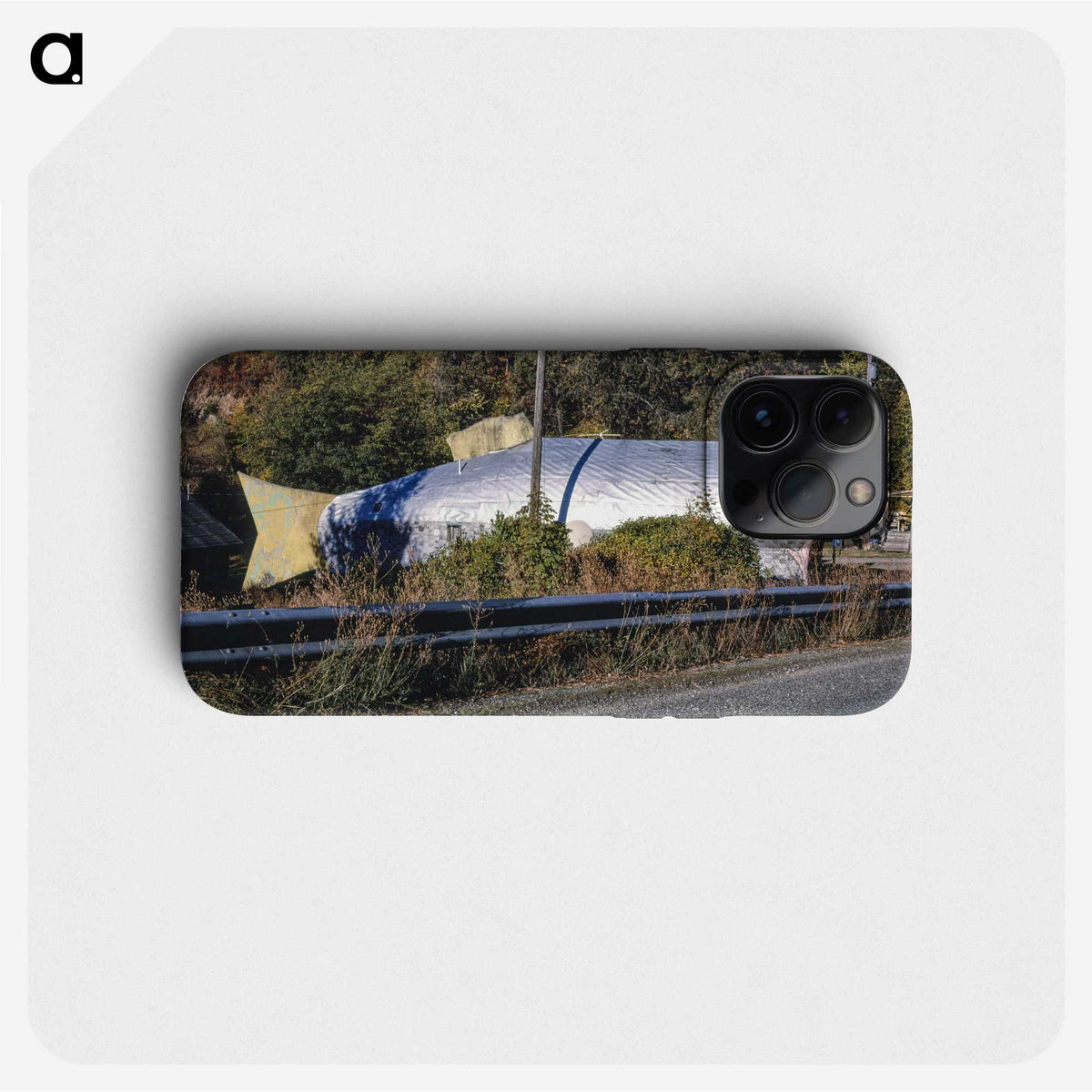 2-70_John-Margolies_phone