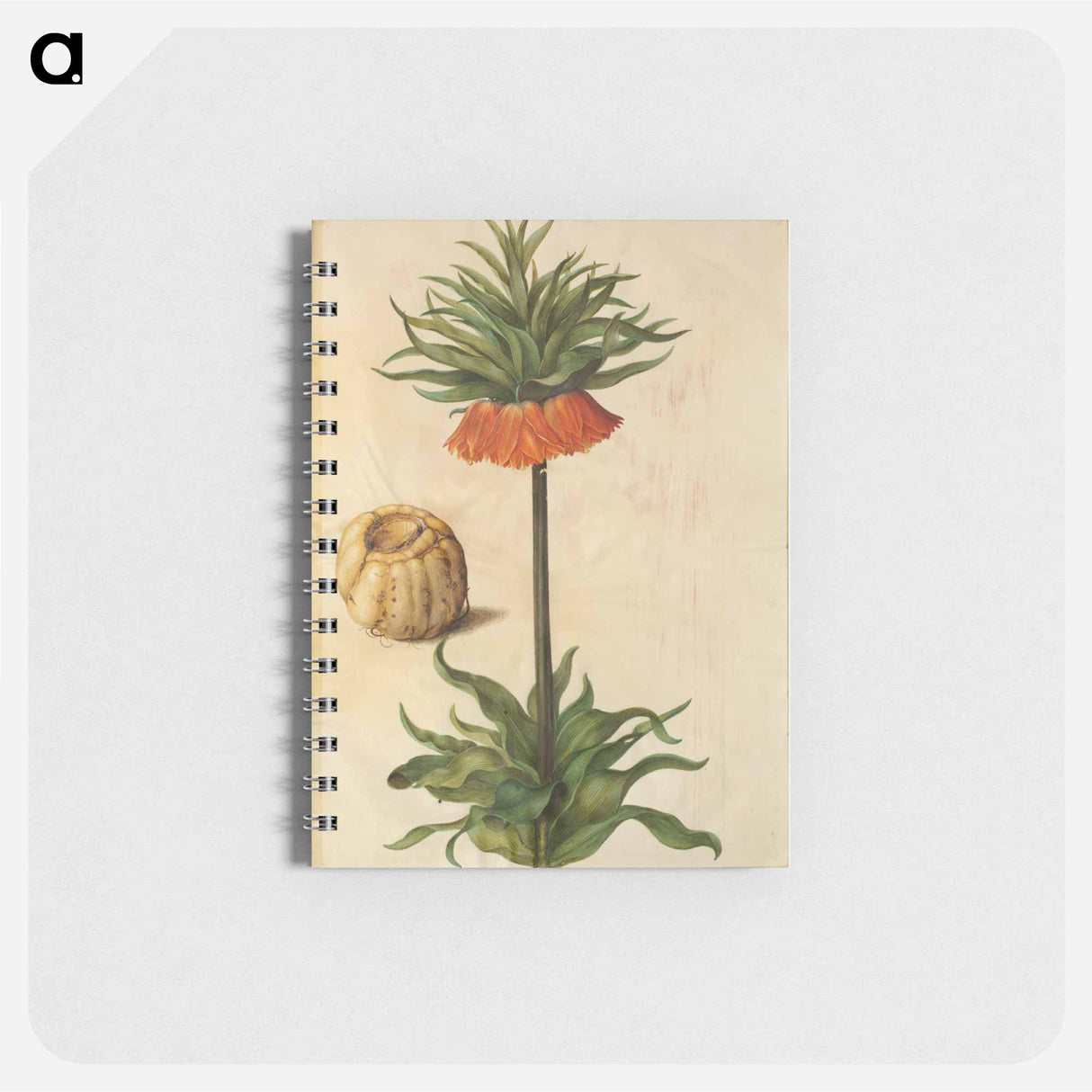 アートメモ帳-Fritillaria Imperialis
- マリア ジビーラ メーリアン Memo.