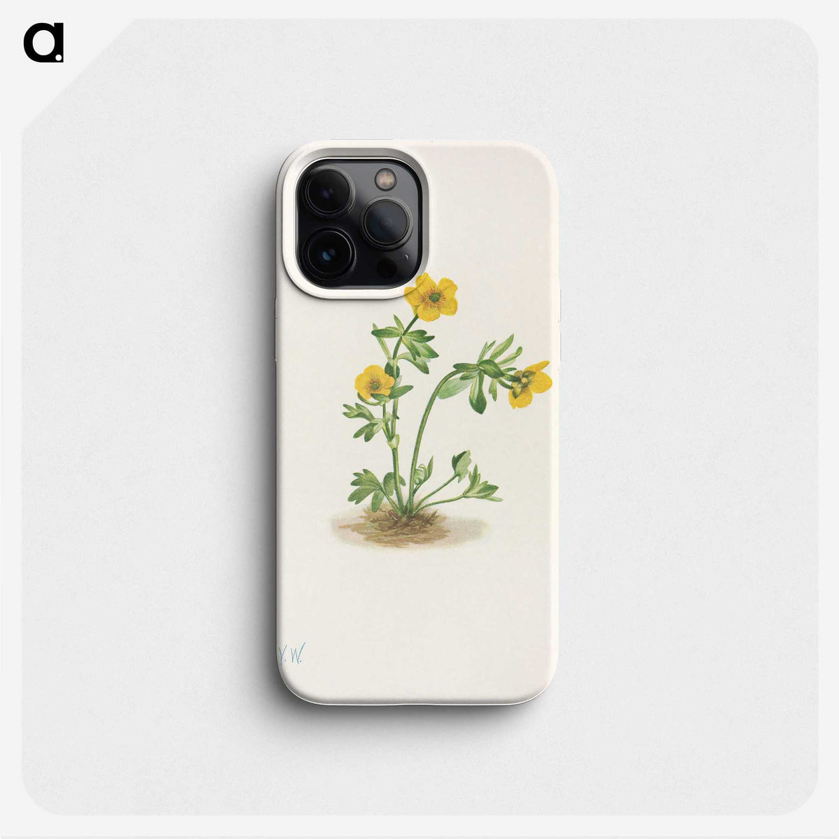 2-70_Mary-Vaux-Walcott_phone