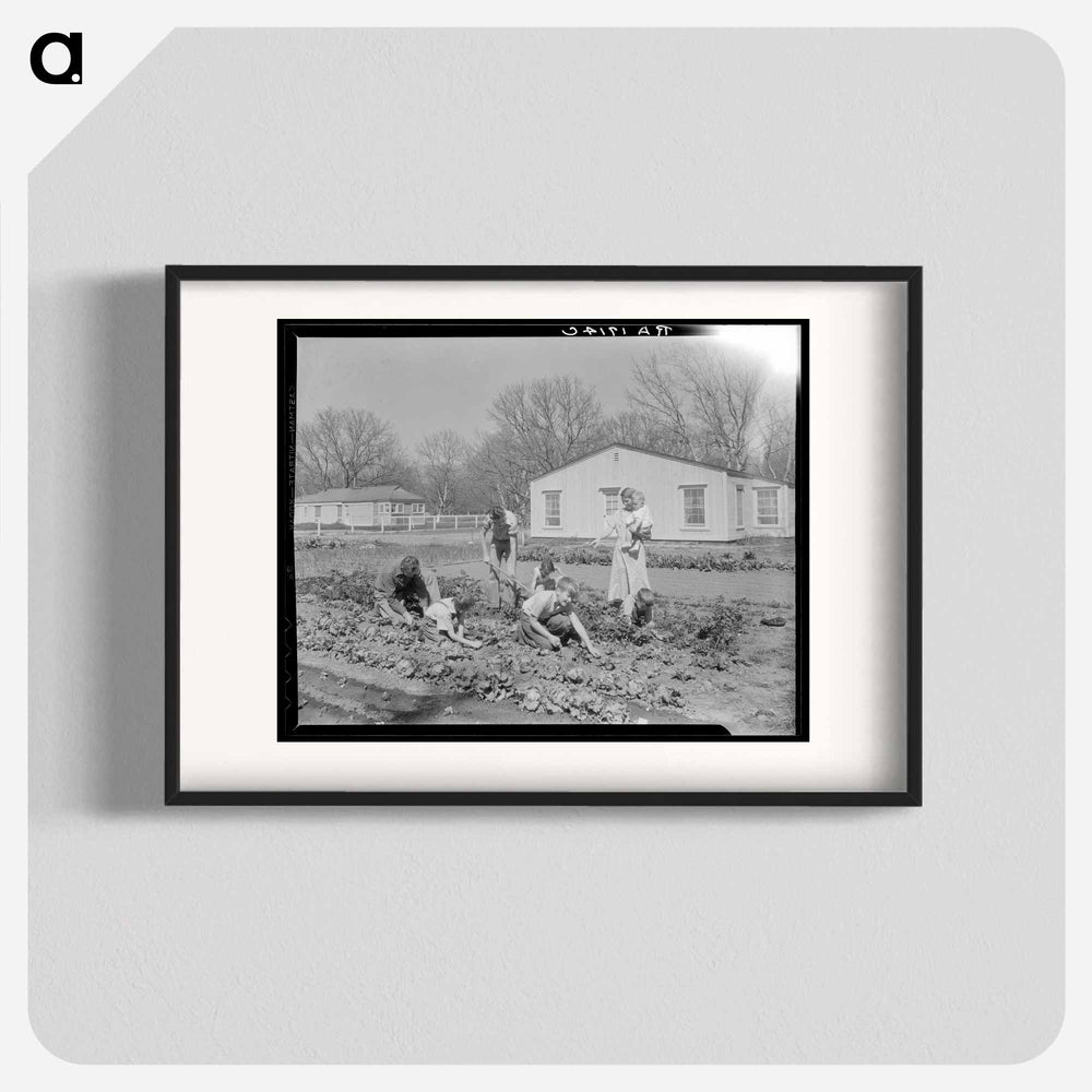 El Monte federal subsistence homesteads - Dorothea Lange Poster.