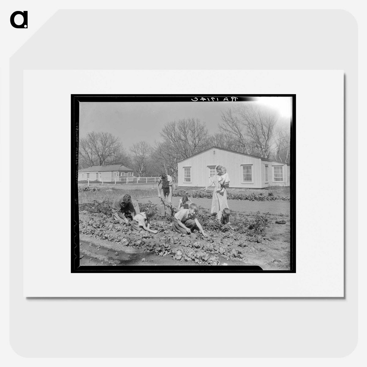 2-71_Dorothea-Lange_picture