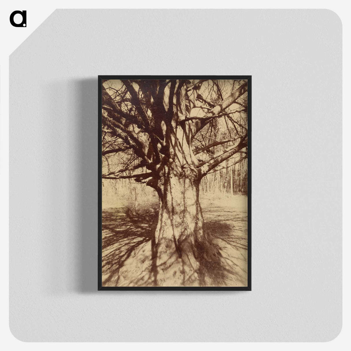 2-71_Eugene-Atget_blk-crop