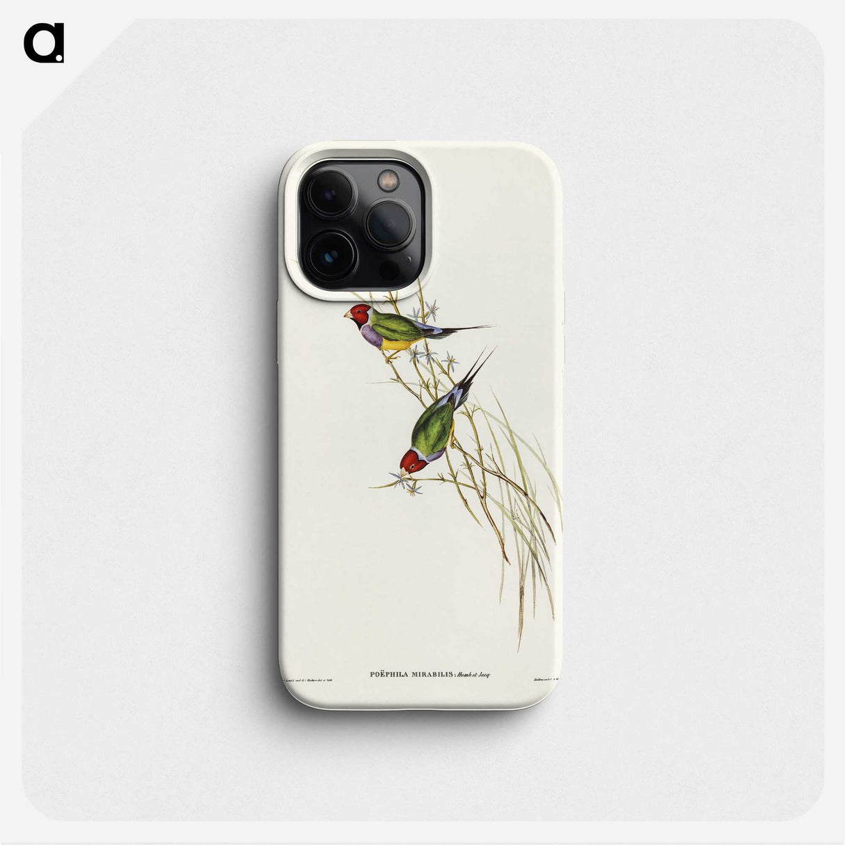 2-71_John-Gould_phone