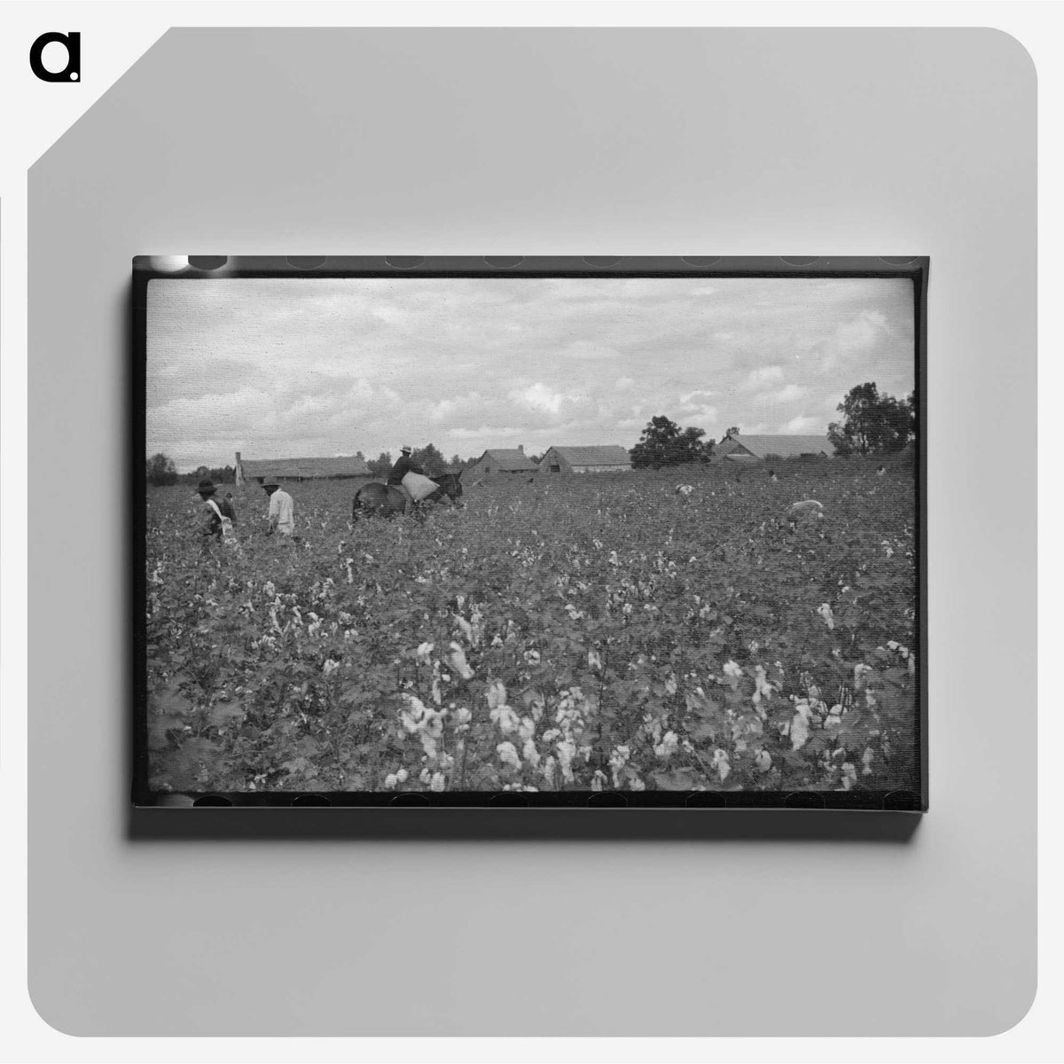 2-71_Marion-Post-Wolcott_canvas