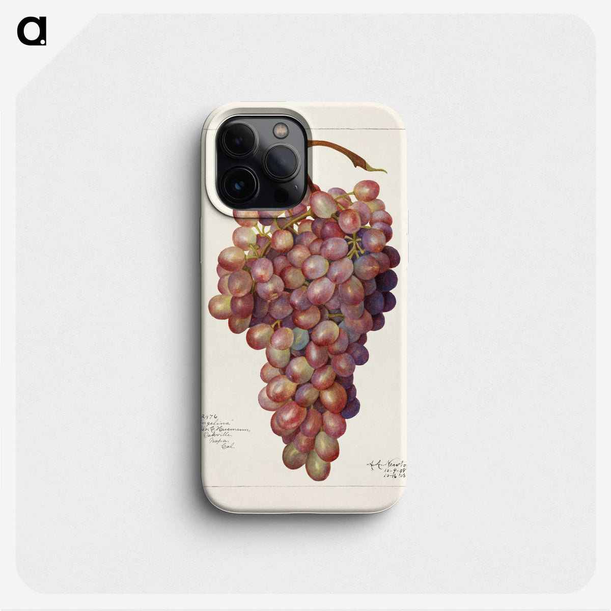 2-71_USDA-Watercolor-Fruit-Painting-Collection_phone