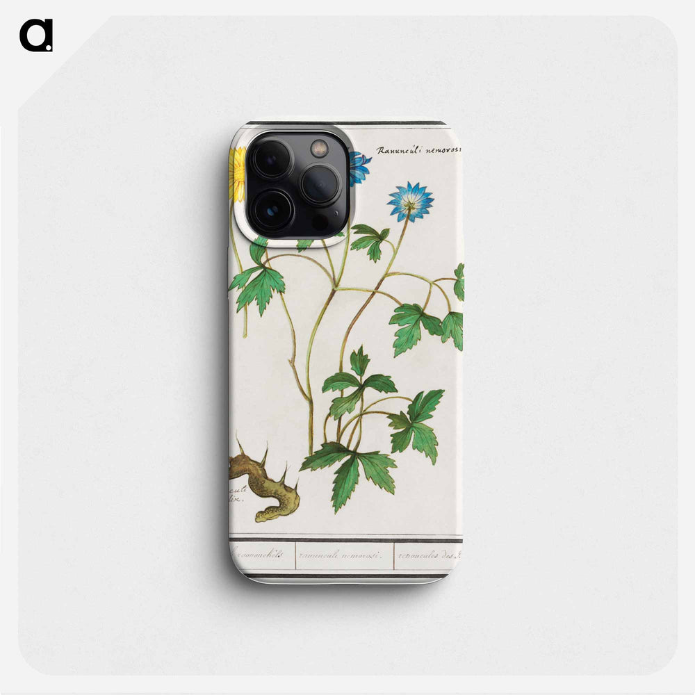 Wood anemone - アンセルムス ボエティウス デ ブート Phone Case.