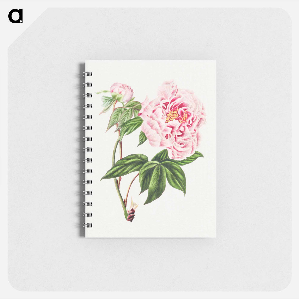 アートメモ帳-Chinese Tree Peony
- クリーブランド美術館 Memo.
