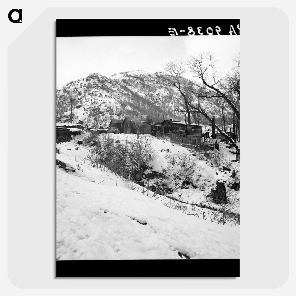 2-72_Dorothea-Lange_picture-crop