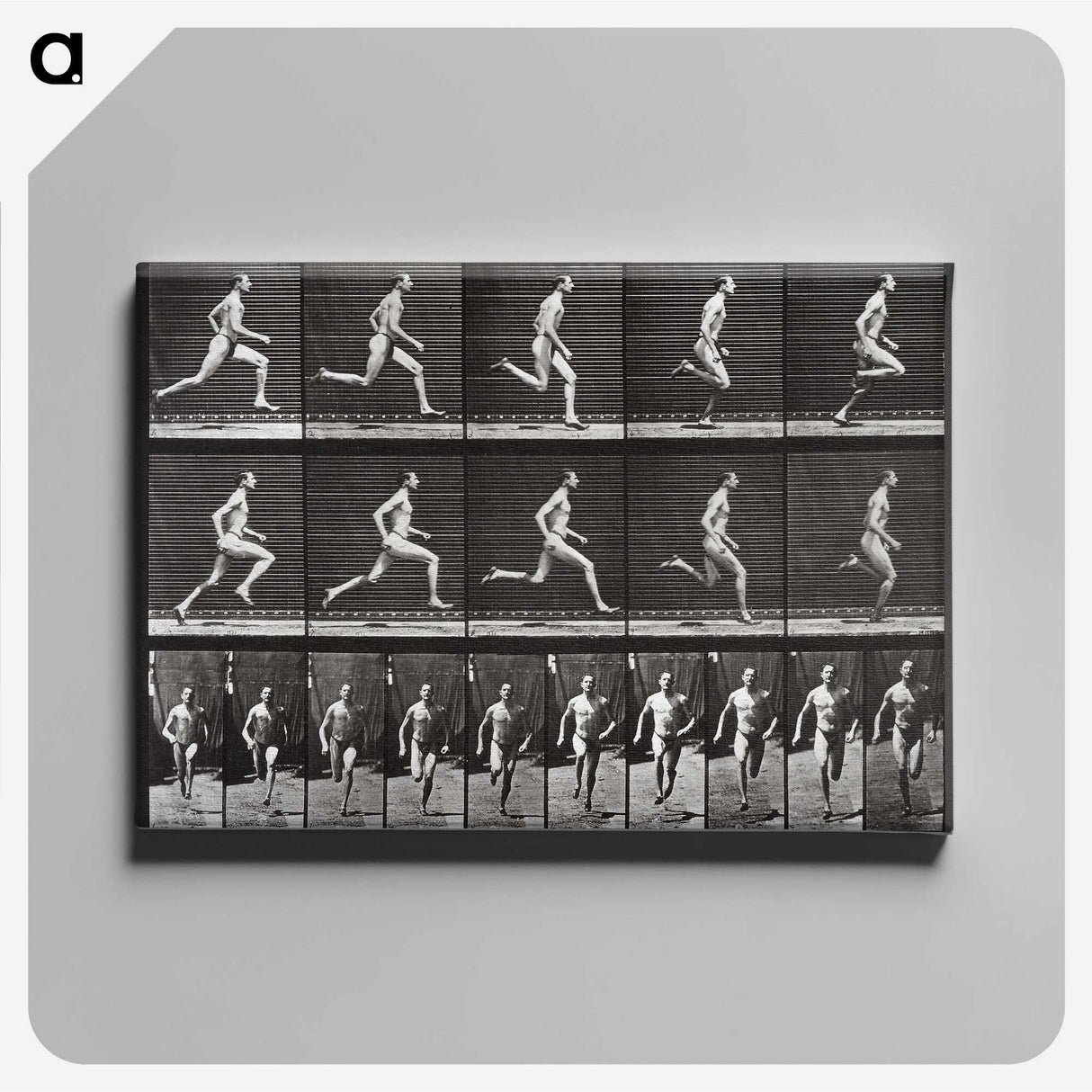 2-72_Eadweard-Muybridge_canvas