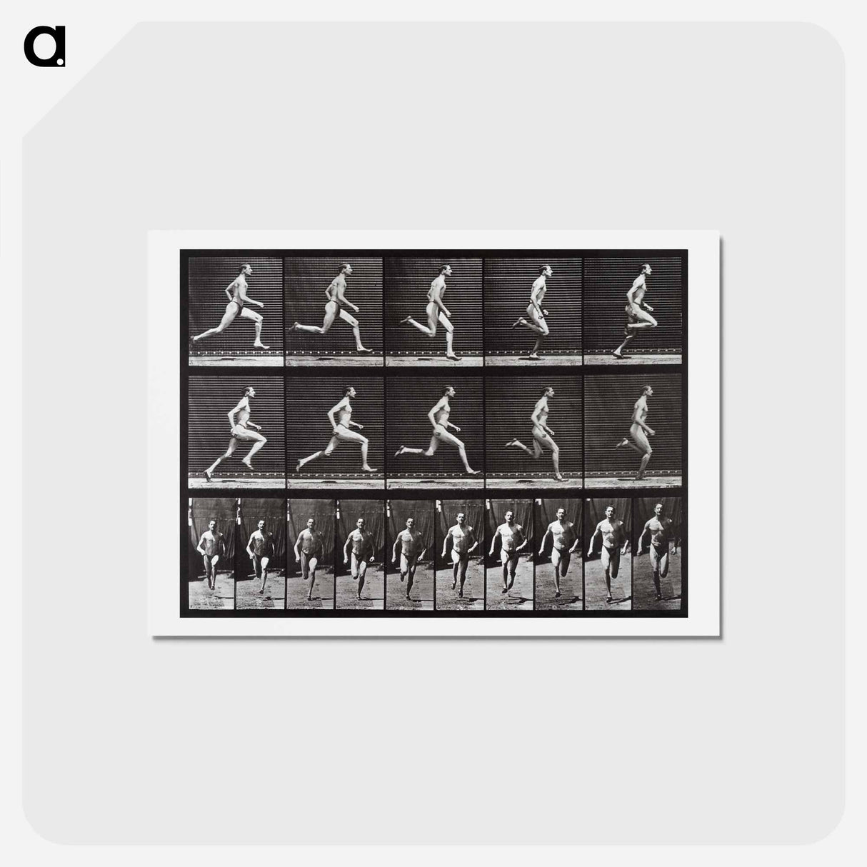 アートポストカード-Animal Locomotion Plate 60
- エドワード マイブリッジ Postcard.