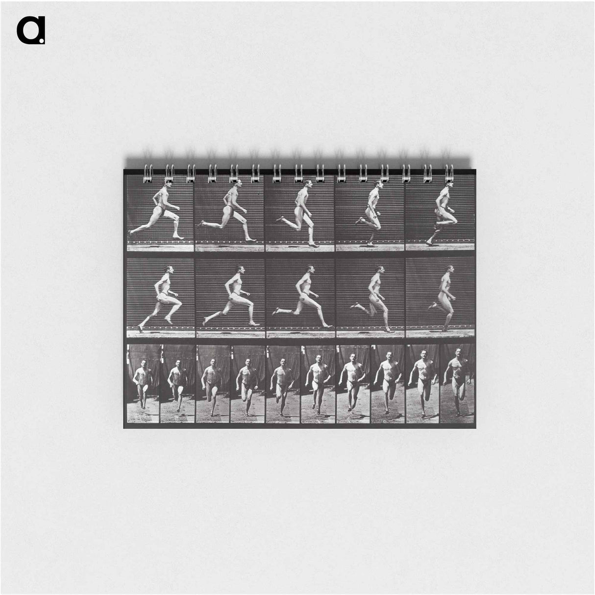 アートメモ帳-Animal Locomotion Plate 60
- エドワード マイブリッジ Memo.