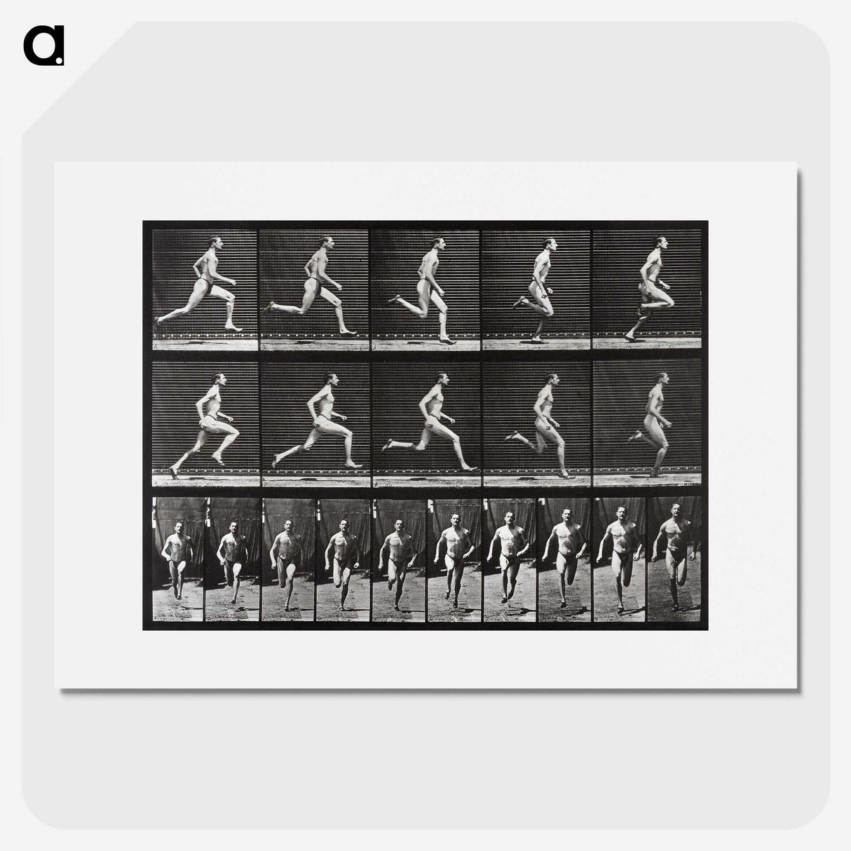 2-72_Eadweard-Muybridge_picture