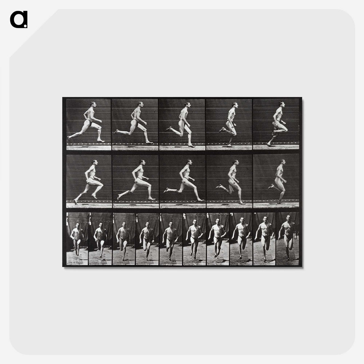 2-72_Eadweard-Muybridge_postcard
