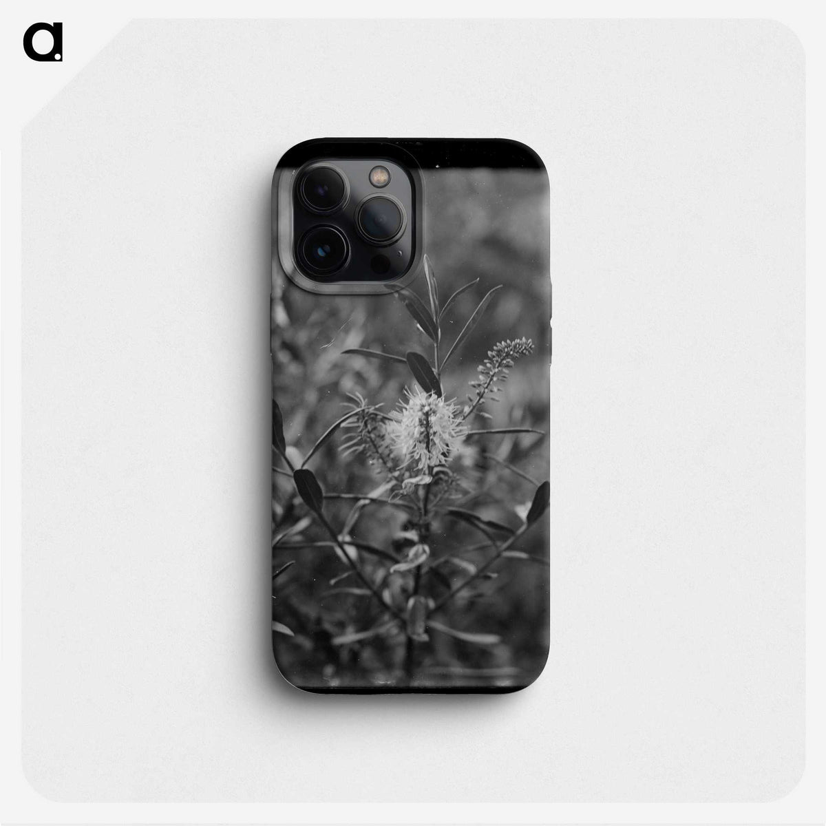 2-72_Frederick-Charles-Brockett_phone