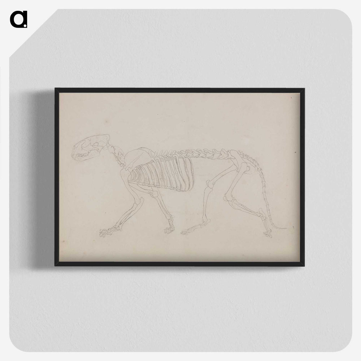2-72_George-Stubbs_blk-crop