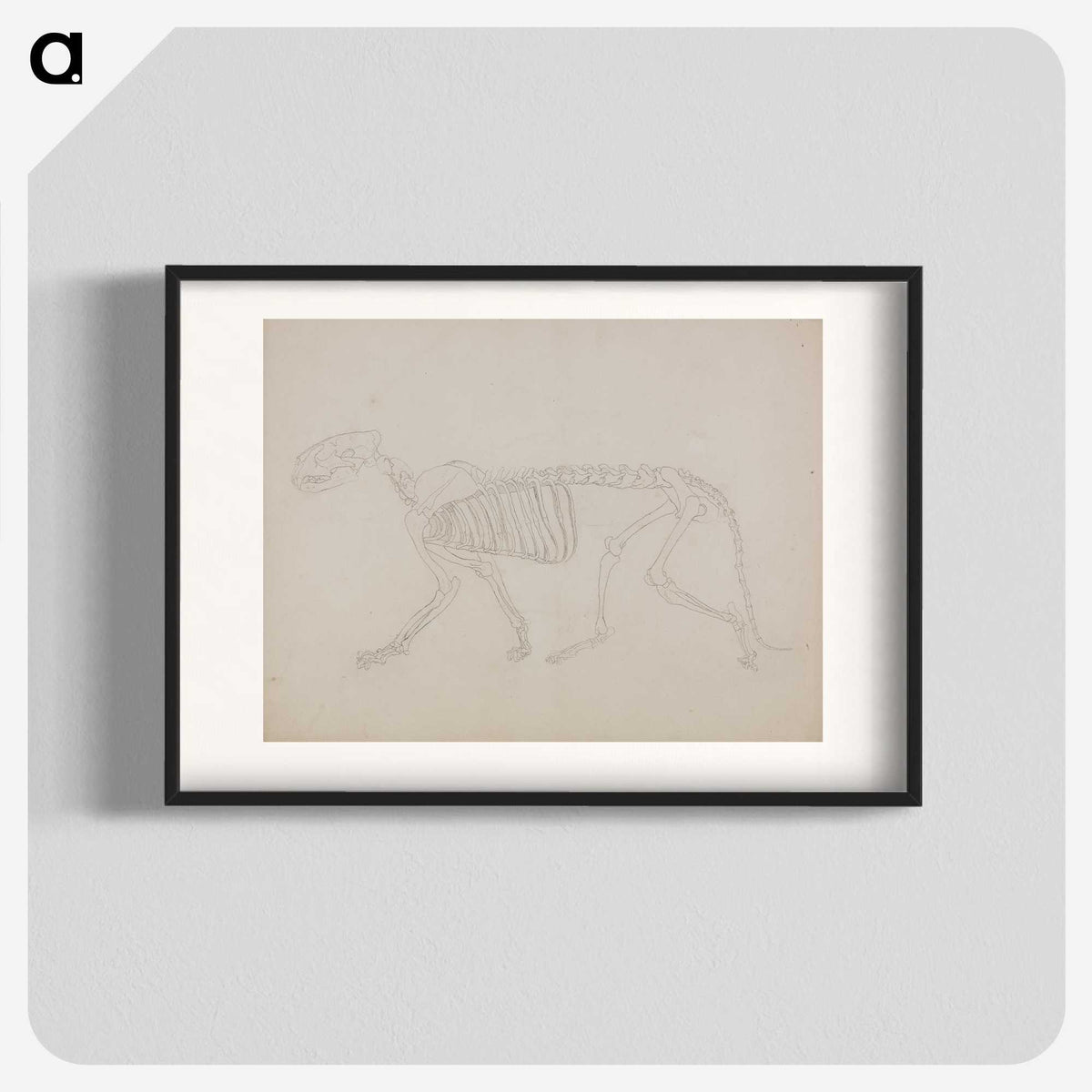 2-72_George-Stubbs_blk