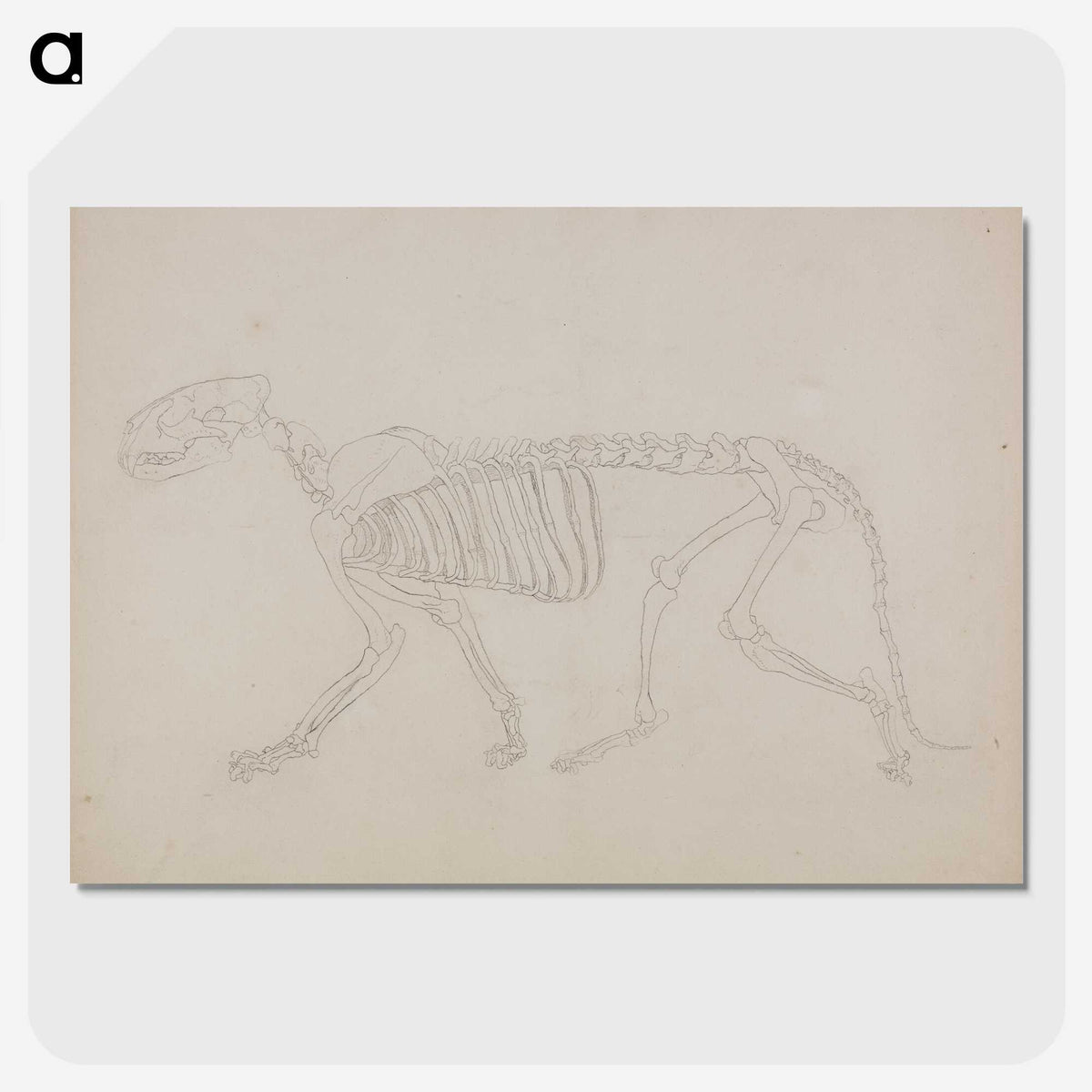 2-72_George-Stubbs_picture-crop