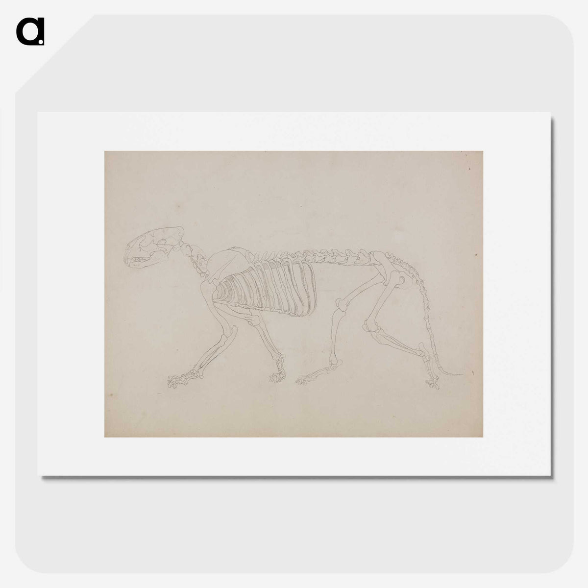 2-72_George-Stubbs_picture