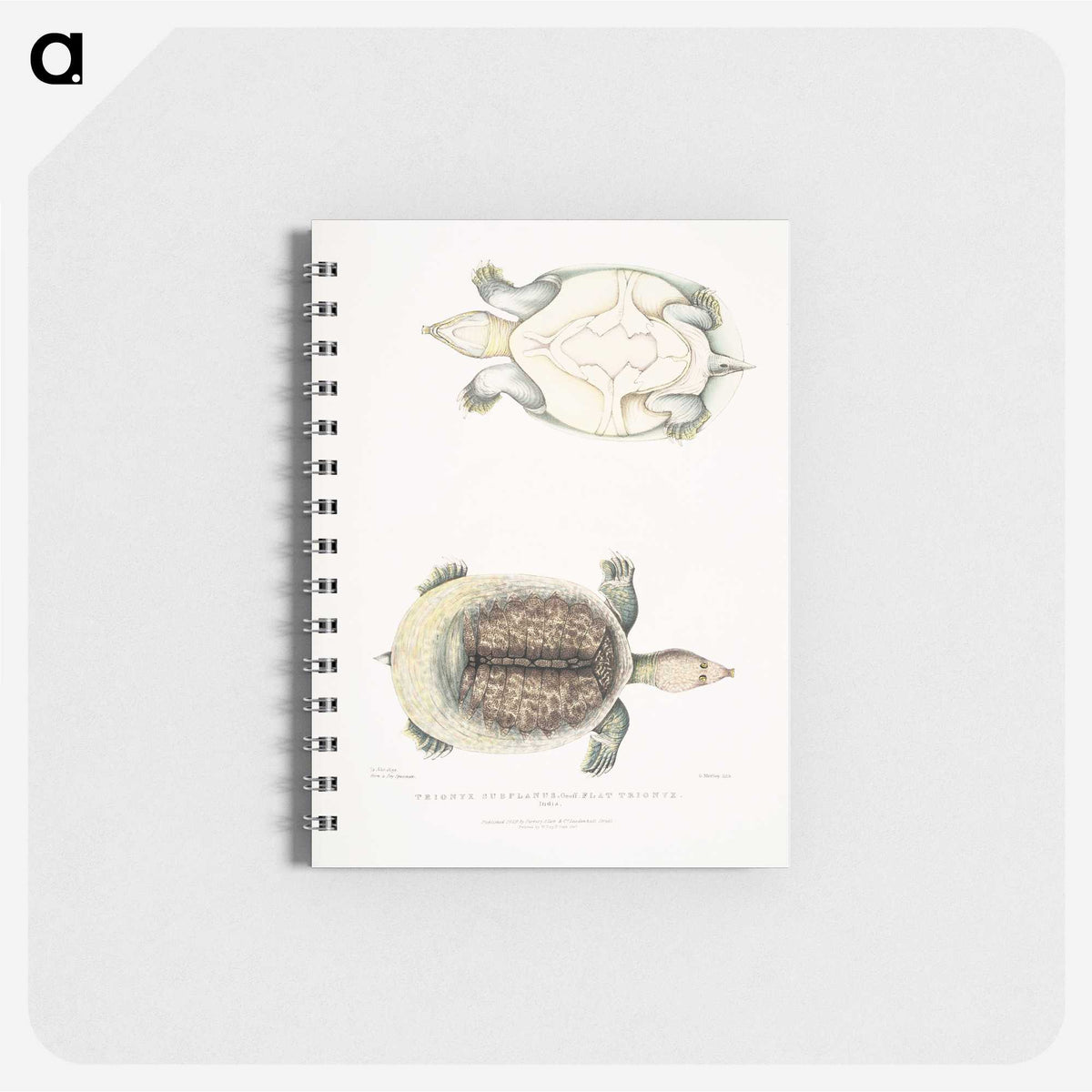 2-72_Indian-Zoology_memo
