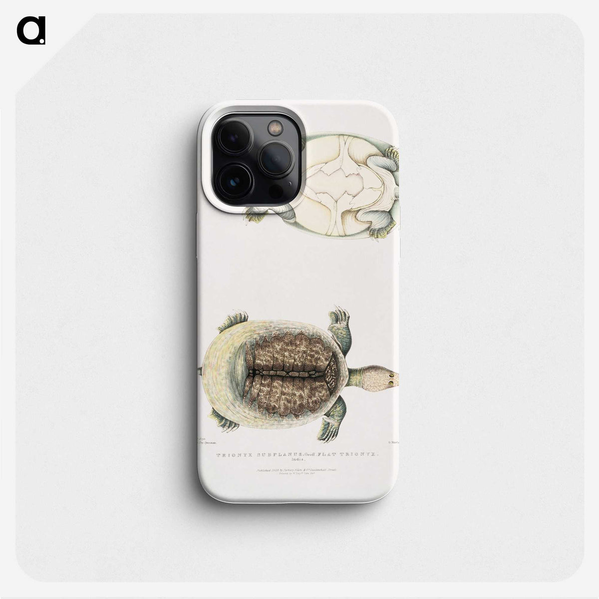 2-72_Indian-Zoology_phone