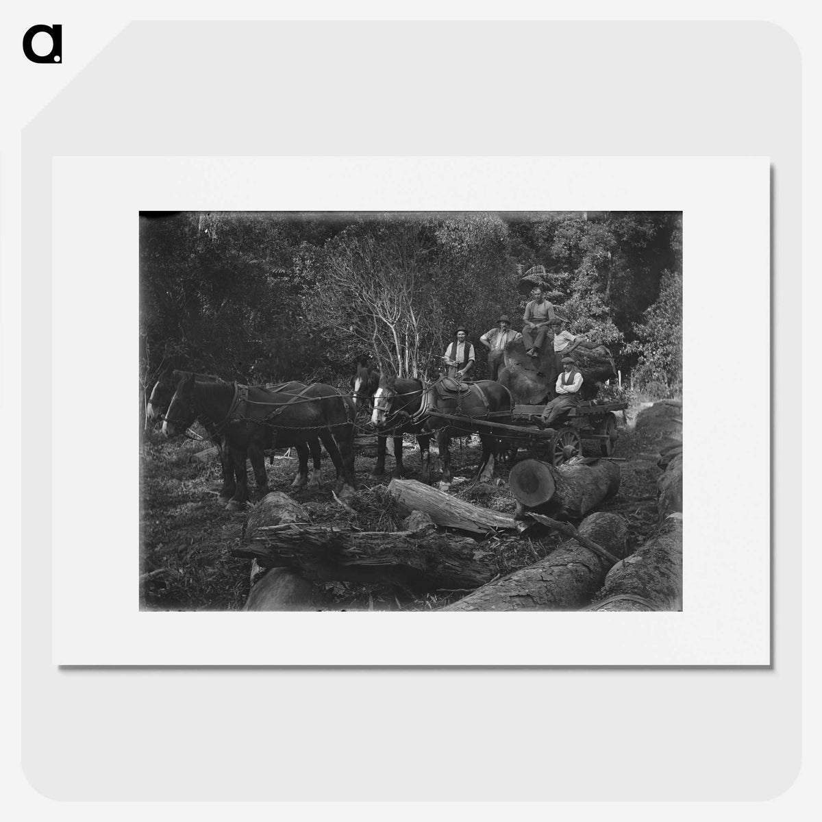 2-72_Leslie-Adkin_picture