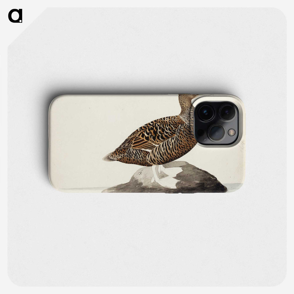 2-72_Magnus-von-Wright_phone