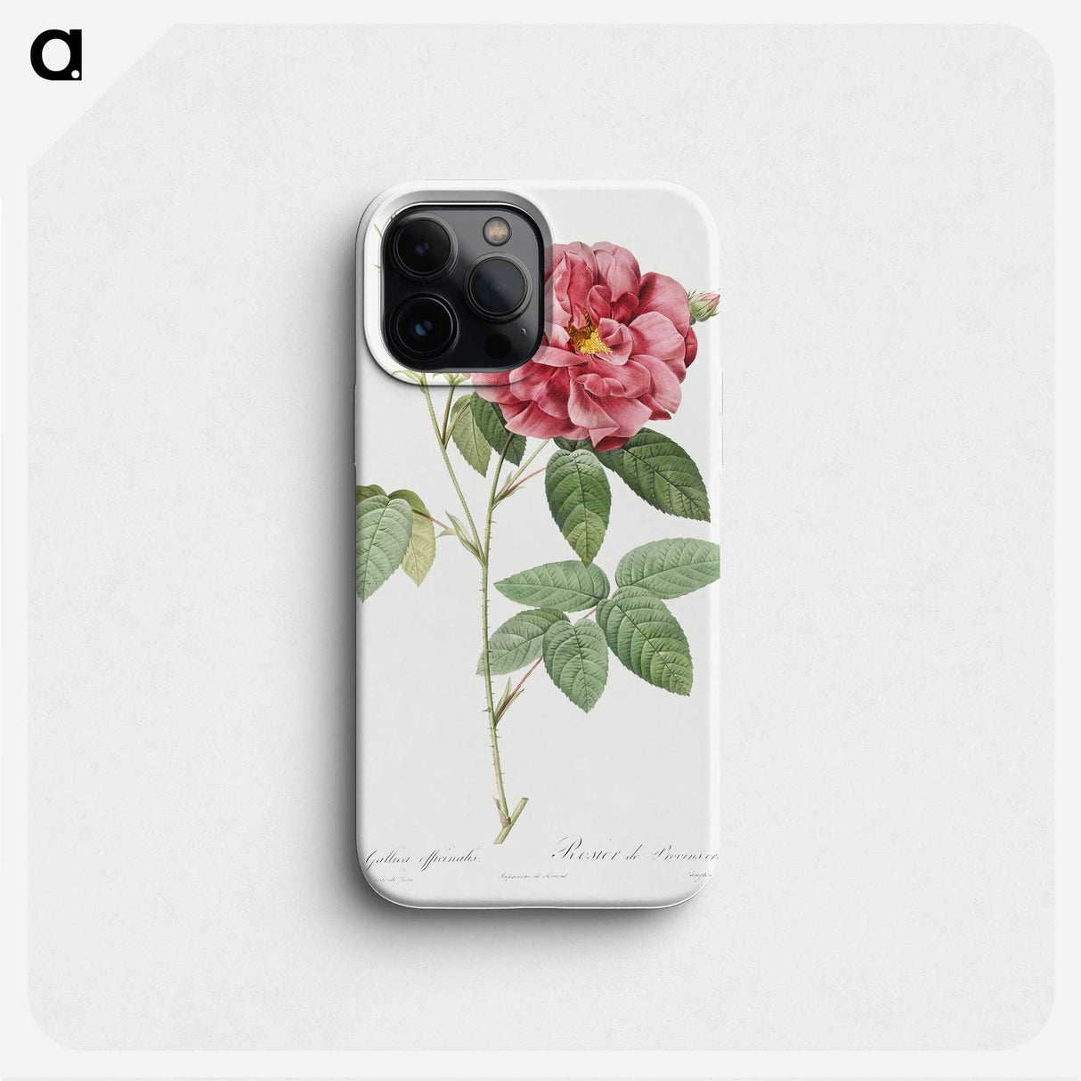 2-72_Pierre-Joseph-Redoute_phone