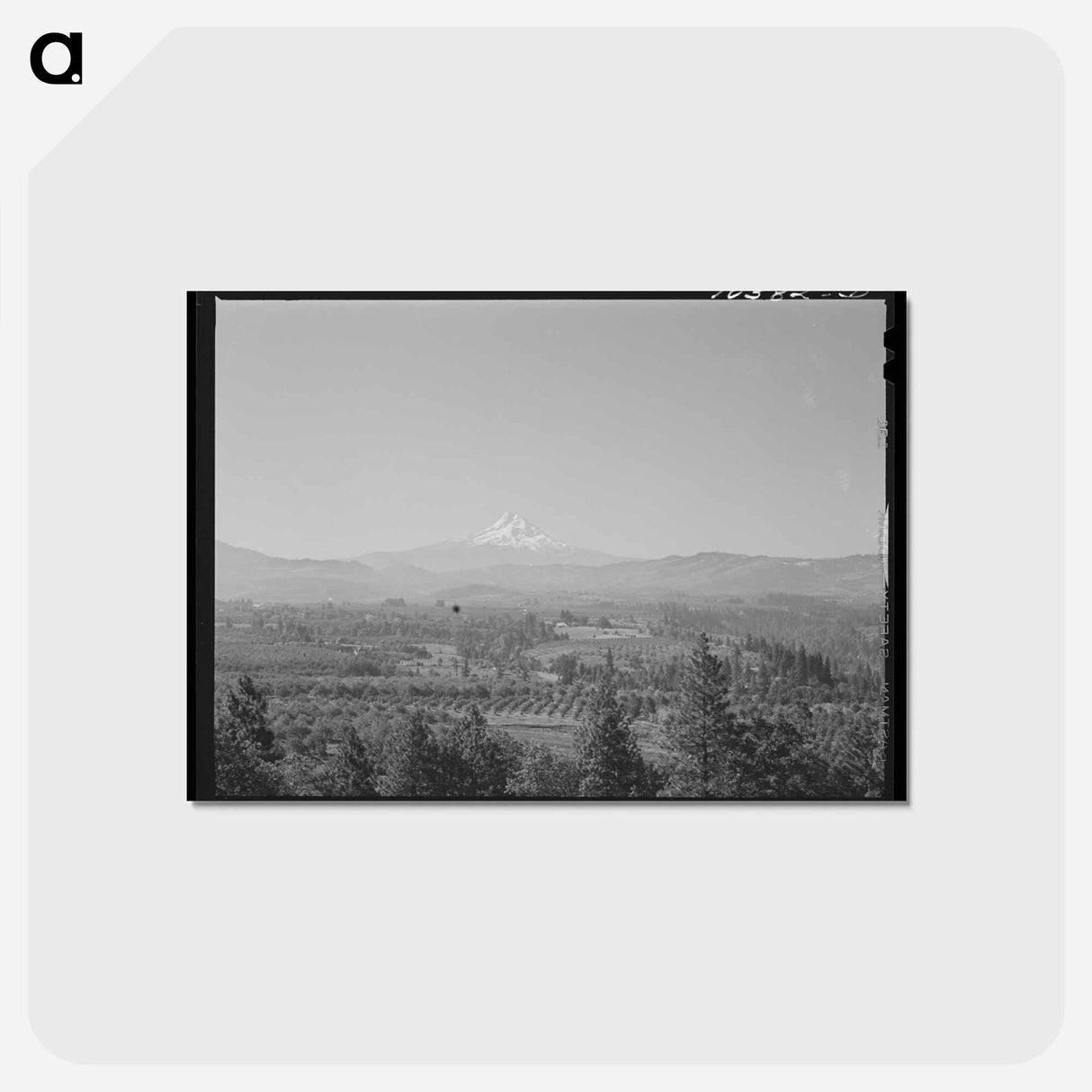 アートポストカード-Orchards of Hood River Valley
- ラッセル リー Postcard.
