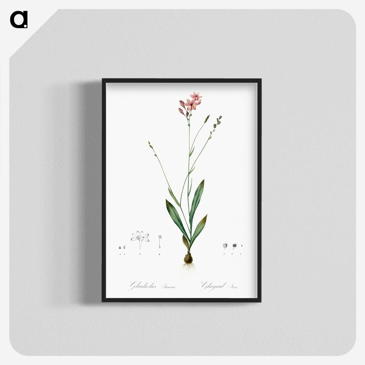 2-72_The-Lilies_blk-crop