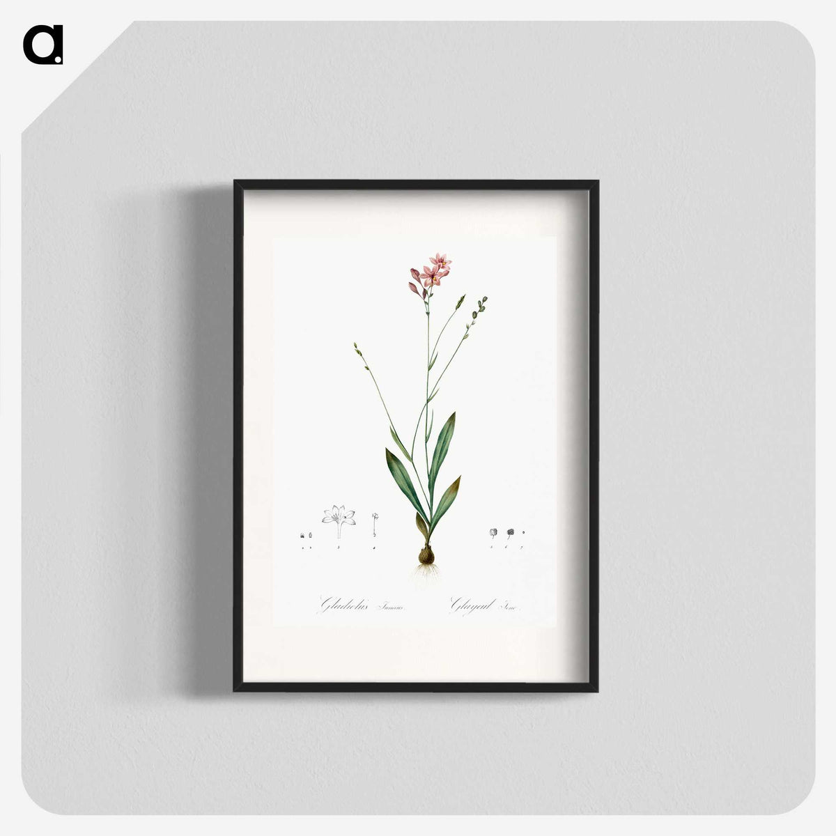 2-72_The-Lilies_blk