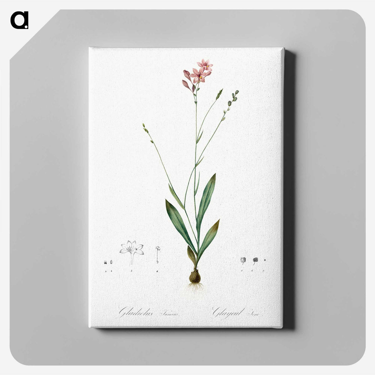 2-72_The-Lilies_canvas