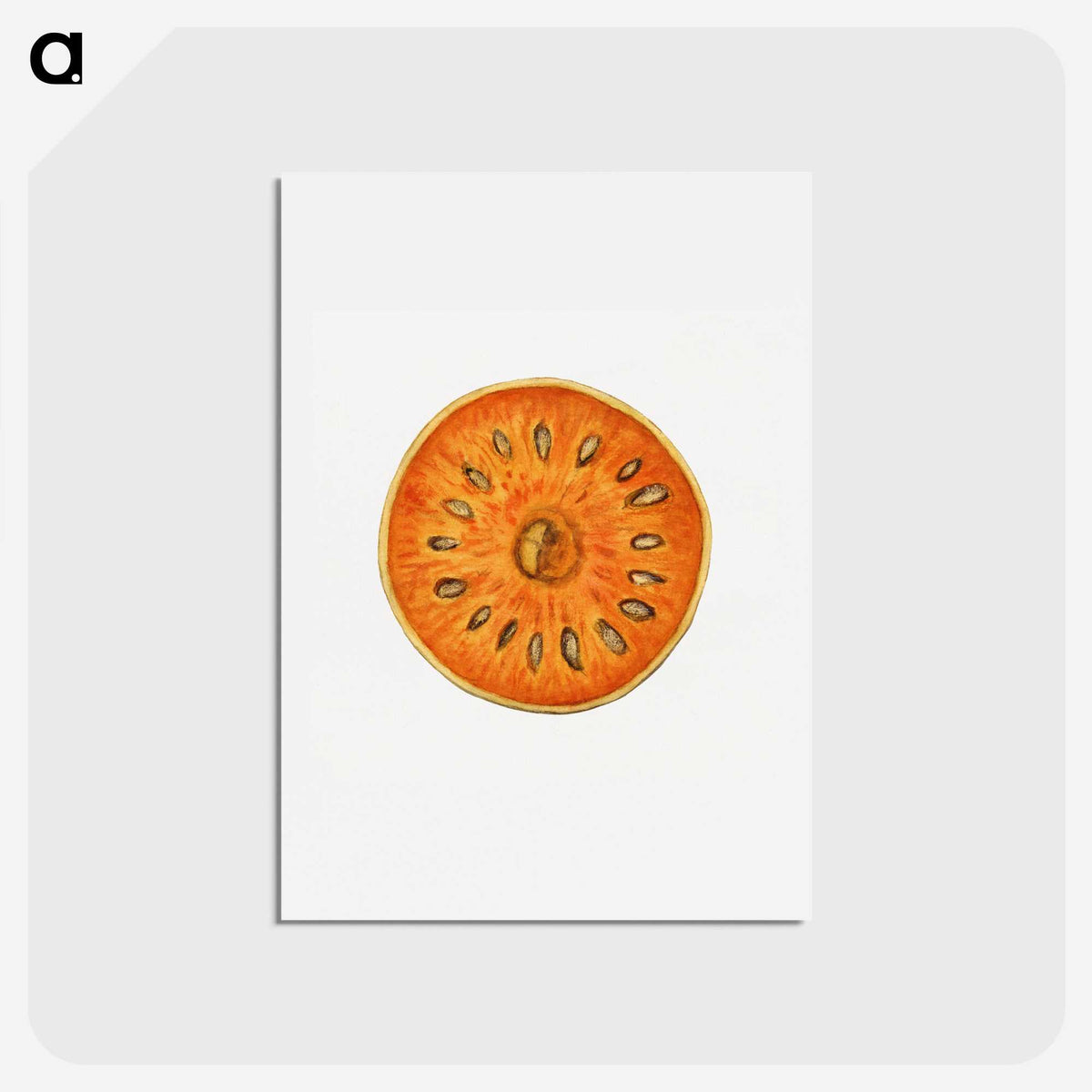 2-72_USDA-Watercolor-Fruit-Painting-Collection_hagaki