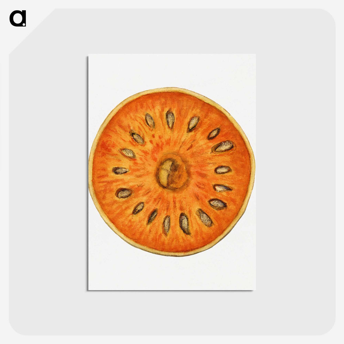 2-72_USDA-Watercolor-Fruit-Painting-Collection_postcard