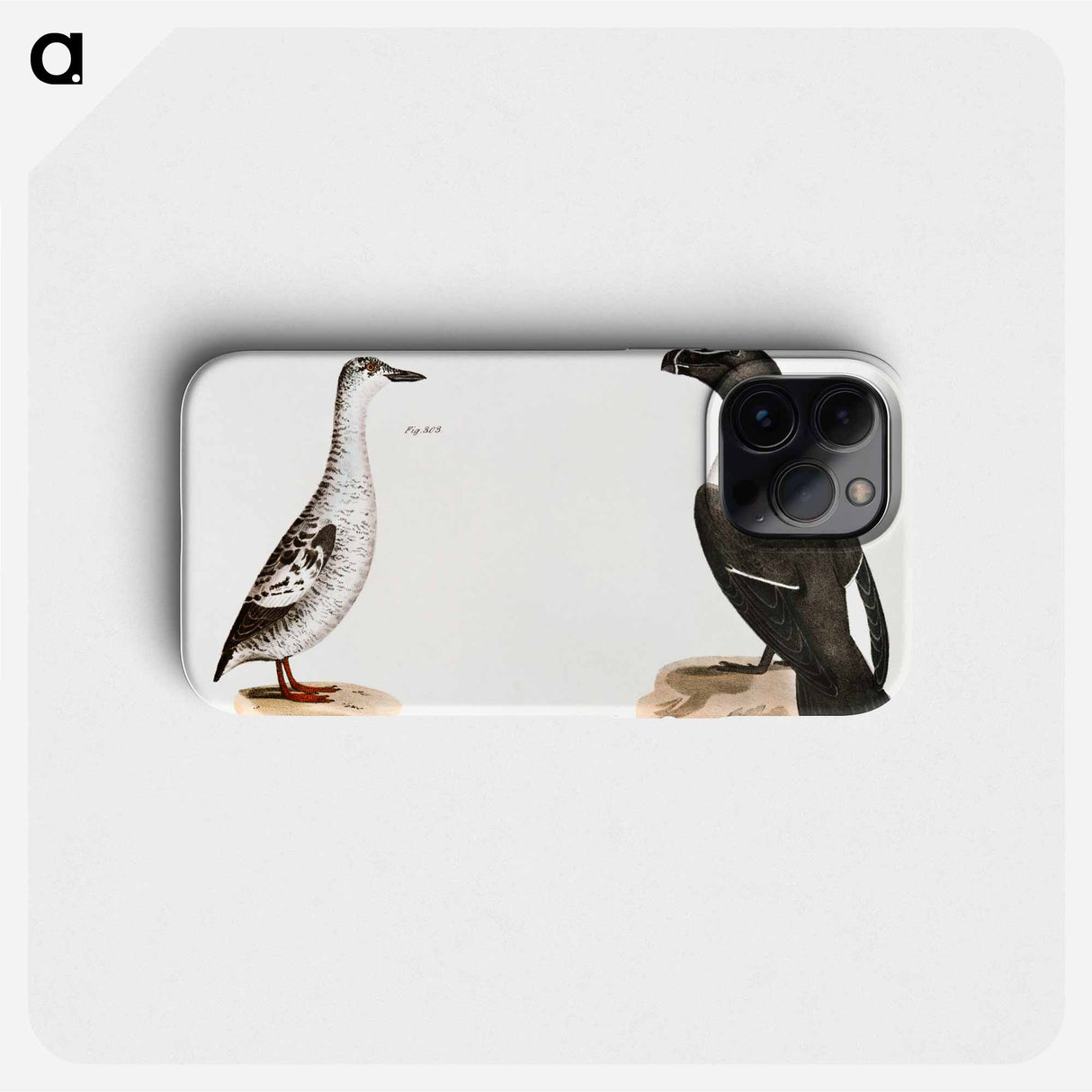 Black Guillemot (Uria grylle) Razorbill (Alca torda) illustration from Zoology of New York by James Ellsworth De Kay - Zoology of New York Phone Case.