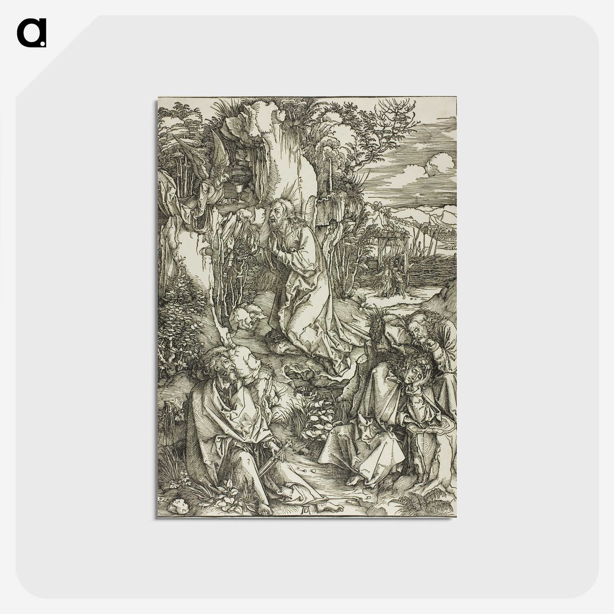 2-73_Albrecht-Durer_postcard