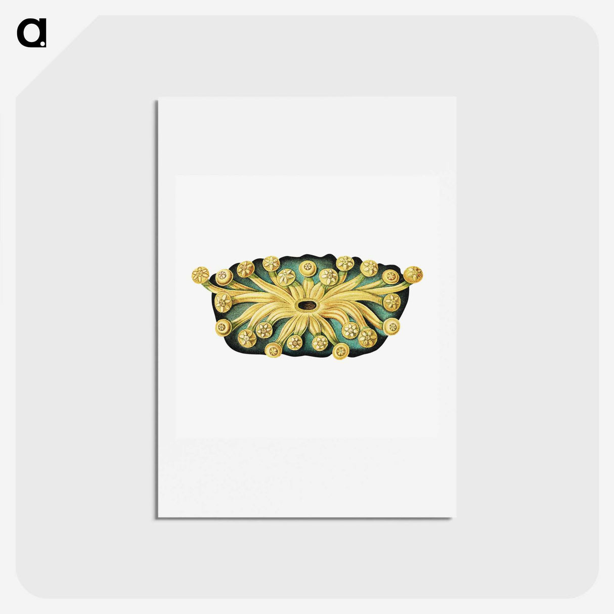 2-73_Ernst-Haeckel_hagaki