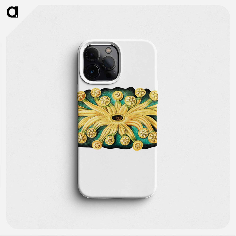 Colorful vintage tunicate illustration - エルンスト ヘッケル Phone Case.