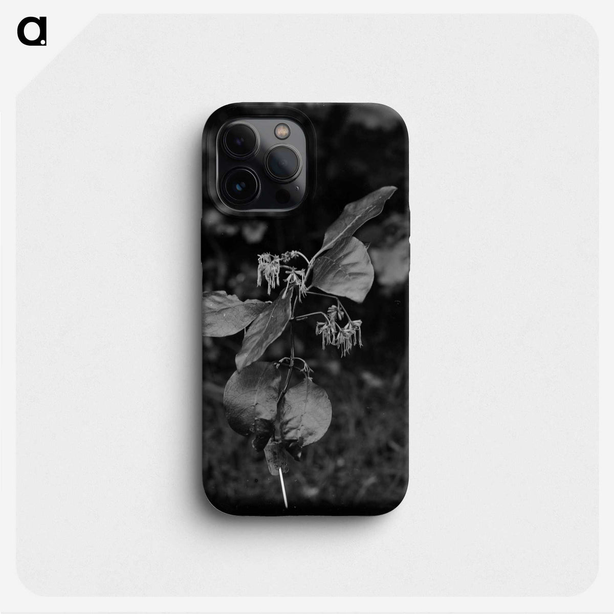 2-73_Frederick-Charles-Brockett_phone