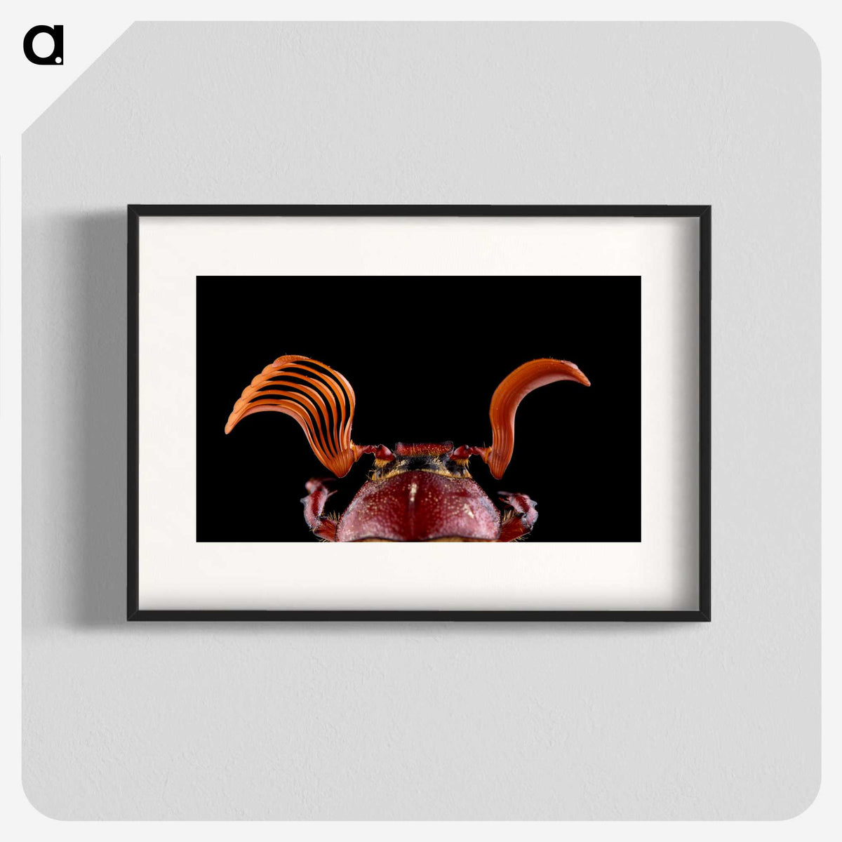 2-73_Insects-Unlocked-Project_blk